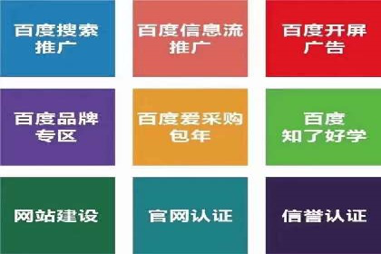 行业领先的SEM竞价广告投放案例
